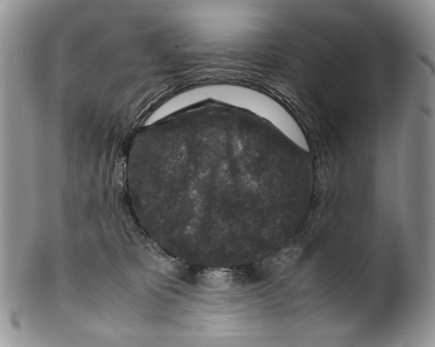 X0000099570325200806131302