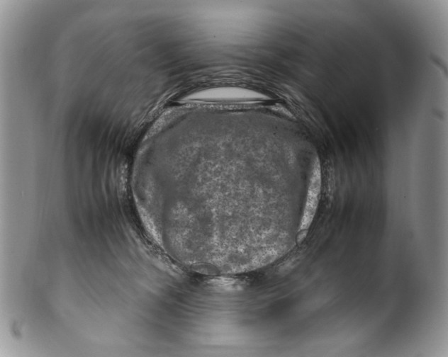 X0000099570326200806131302