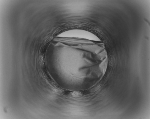 X0000099570327200806131302