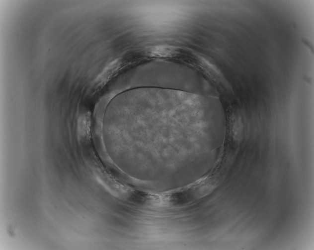 X0000099570328200806131302