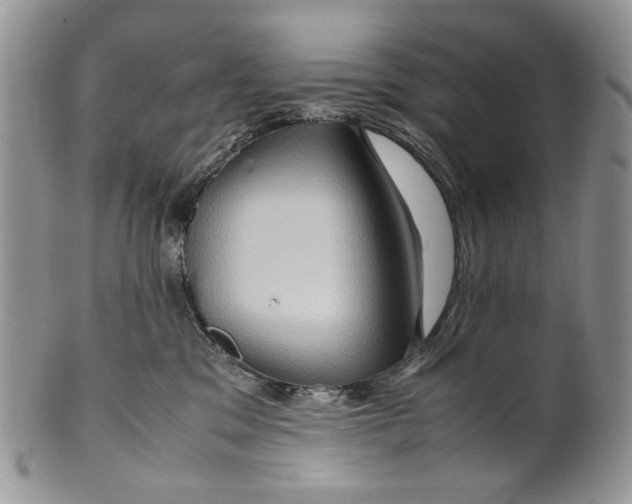 X0000099570329200806131302