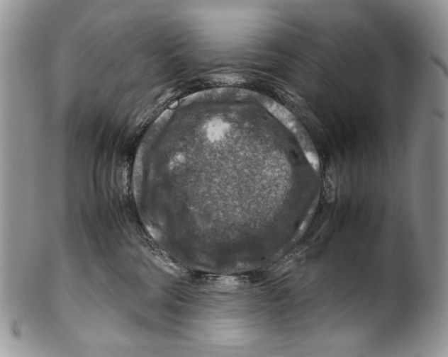 X0000099570330200806131302