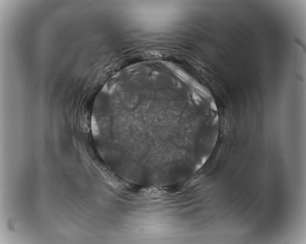 X0000099570331200806131302