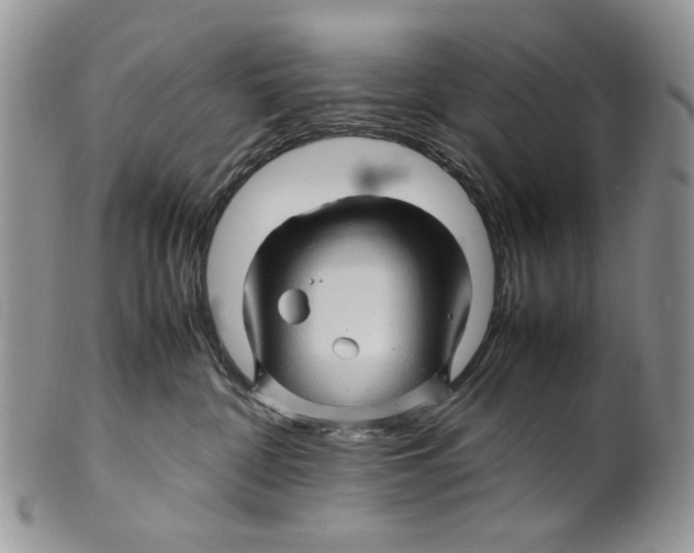 X0000099570332200806131302