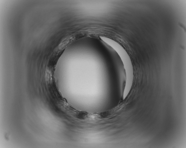 X0000099570333200806131302