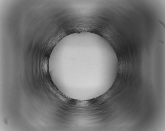 X0000099570334200806131302