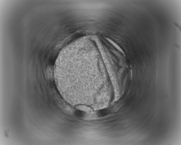 X0000099570335200806131302