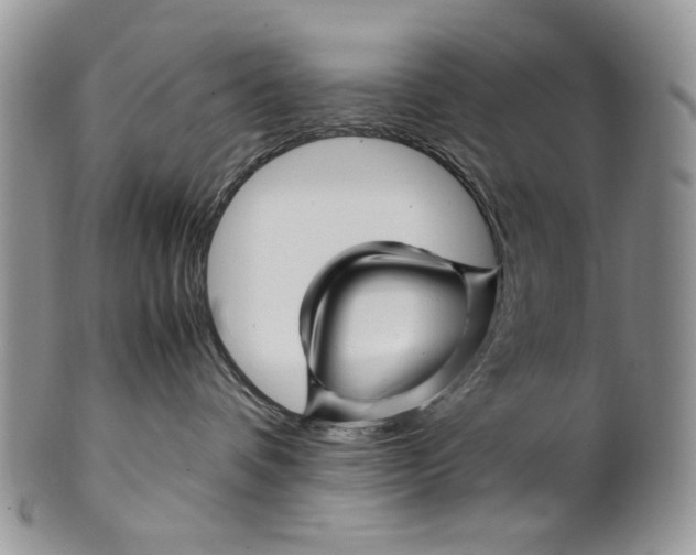 X0000099570336200806131302