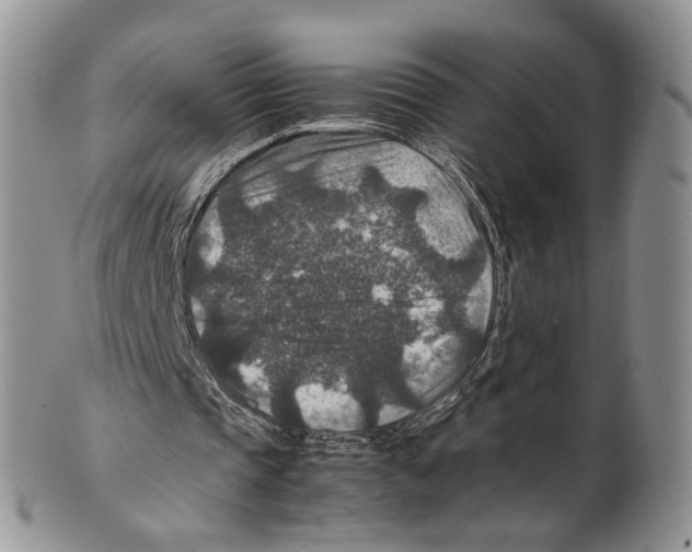 X0000099570337200806131301