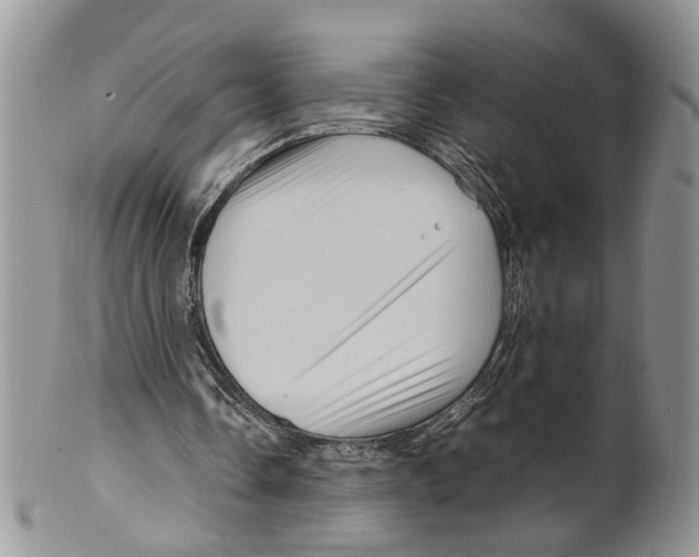 X0000099570338200806131301