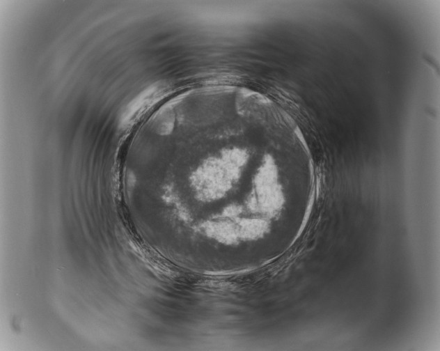 X0000099570339200806131301