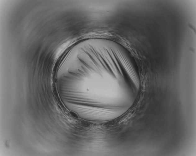 X0000099570340200806131301
