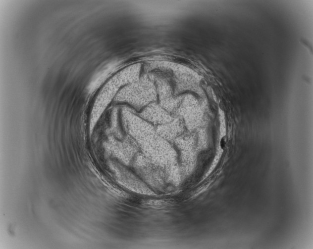 X0000099570341200806131301