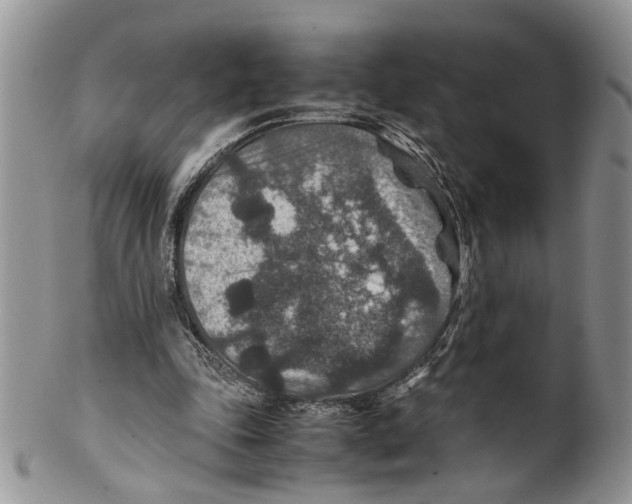 X0000099570343200806131301