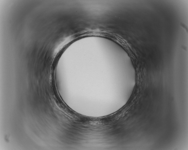 X0000099570344200806131301