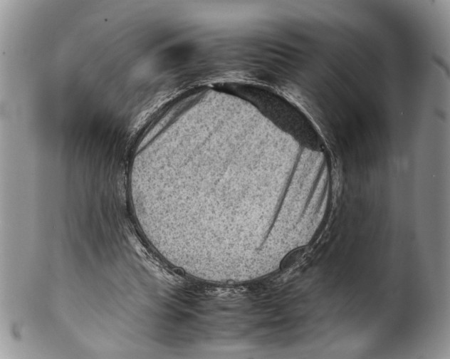 X0000099570345200806131301