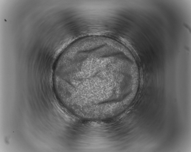 X0000099570346200806131301
