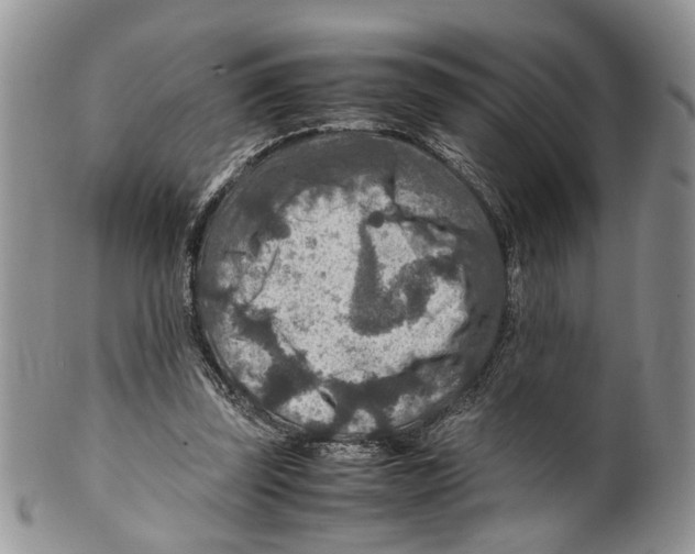 X0000099570347200806131301