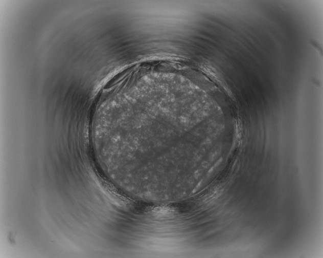 X0000099570348200806131301
