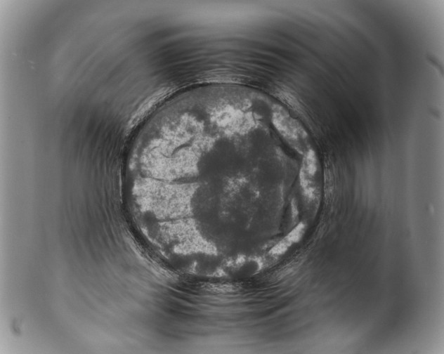 X0000099570349200806131301