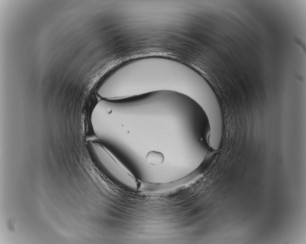 X0000099570350200806131301
