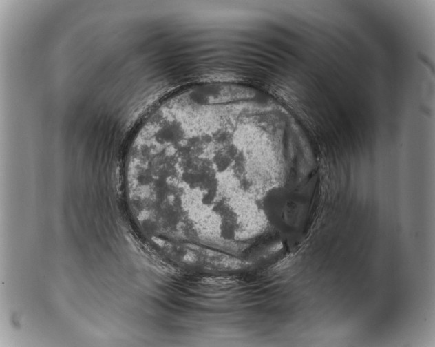 X0000099570351200806131301