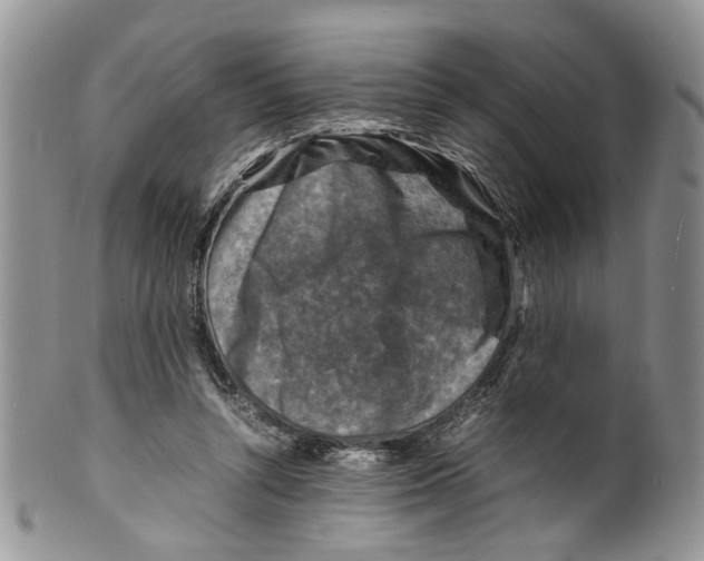 X0000099570352200806131301