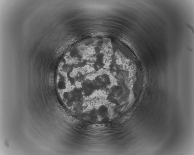 X0000099570353200806131301