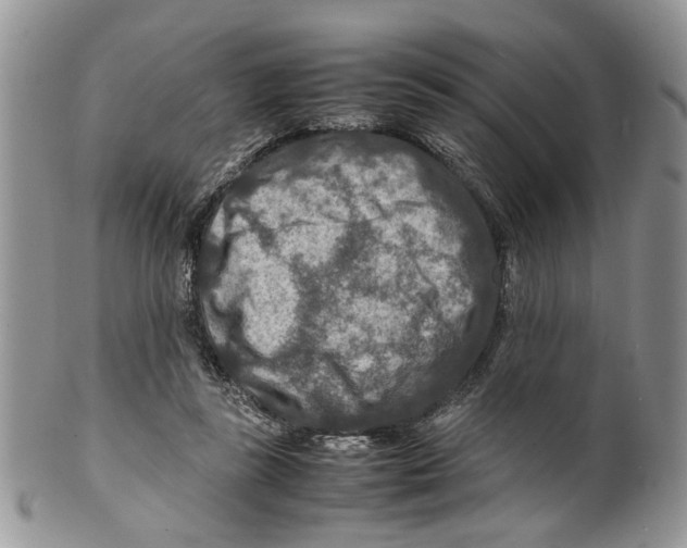 X0000099570355200806131301