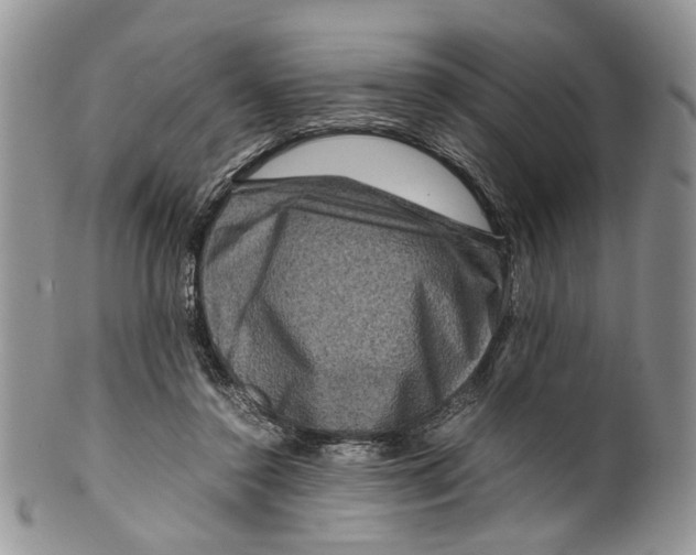 X0000099570356200806131301