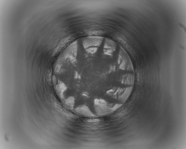 X0000099570357200806131301