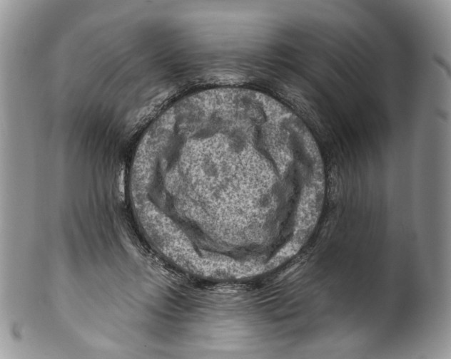 X0000099570358200806131301