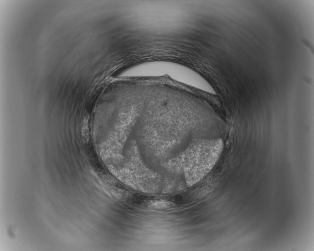 X0000099570360200806131301