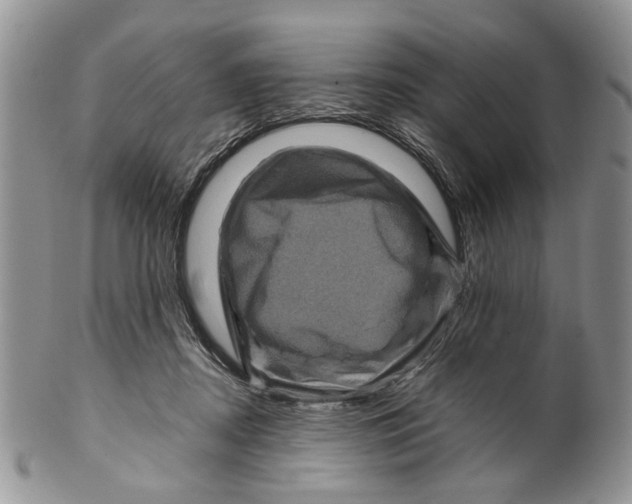 X0000099570362200806131301