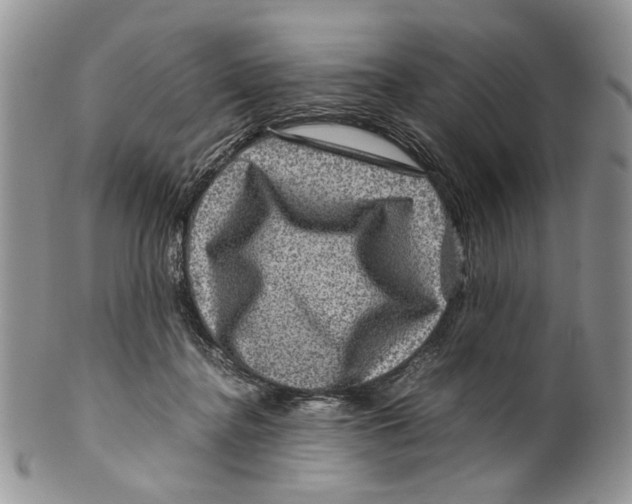X0000099570364200806131301