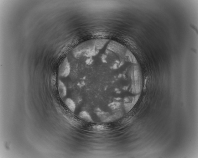 X0000099570365200806131301
