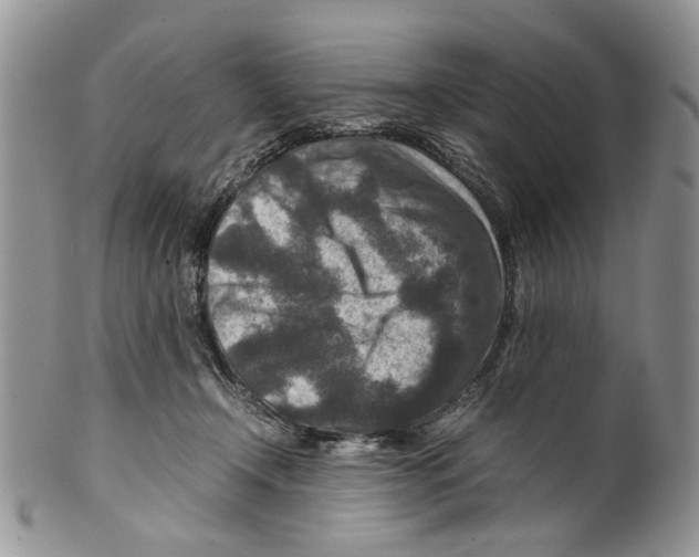 X0000099570366200806131301