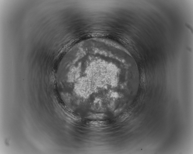 X0000099570367200806131301