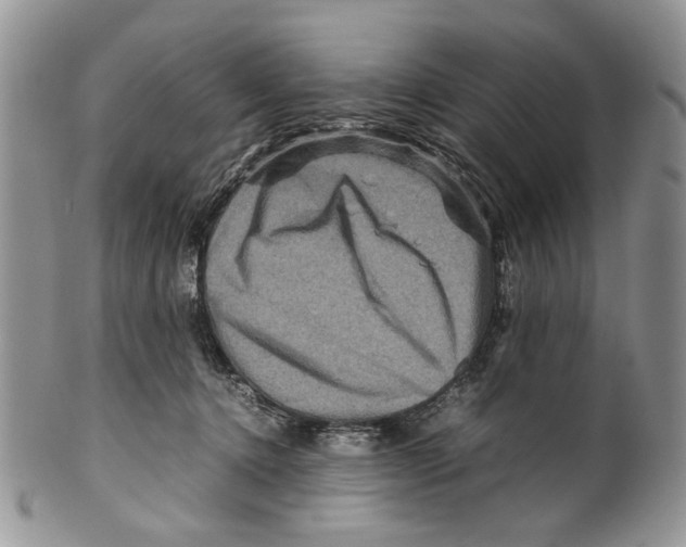 X0000099570368200806131301