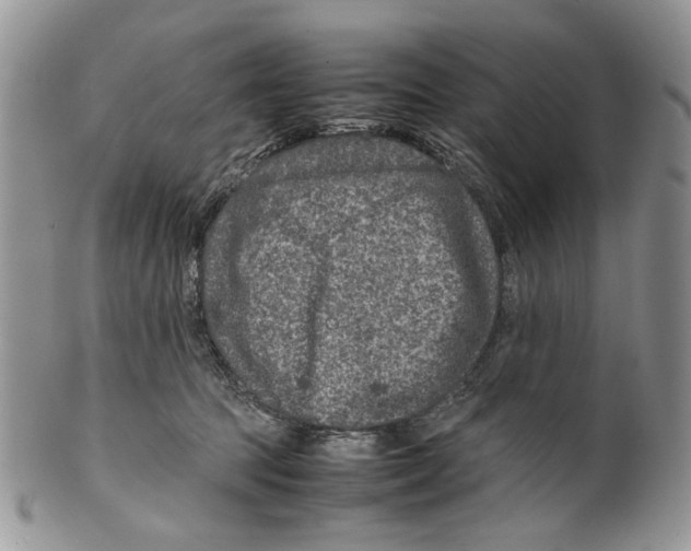 X0000099570369200806131301
