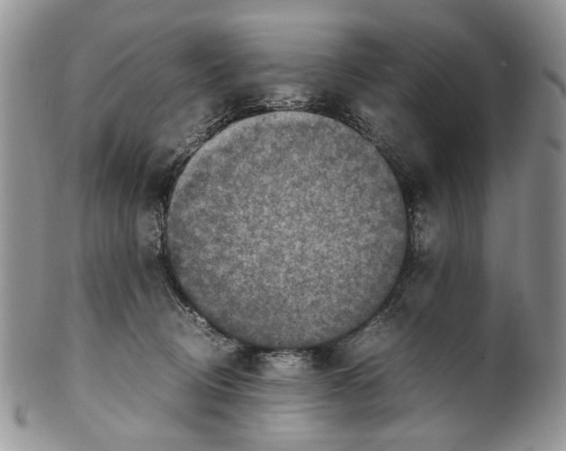 X0000099570370200806131301