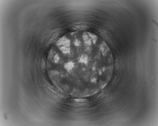 X0000099570371200806131301