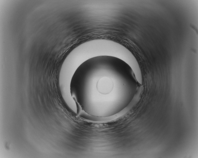 X0000099570372200806131301