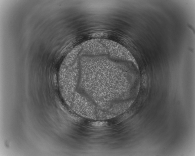 X0000099570375200806131301