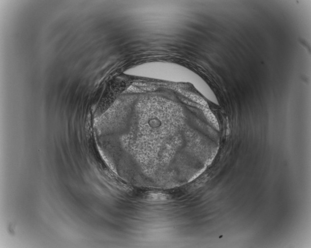 X0000099570376200806131301