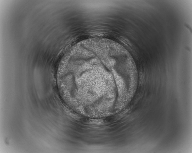X0000099570377200806131301
