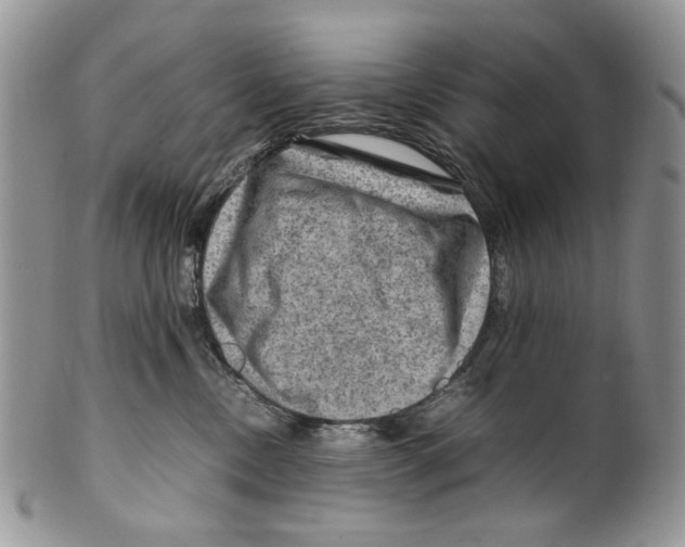 X0000099570378200806131301