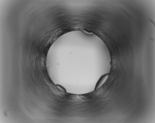 X0000099570379200806131301