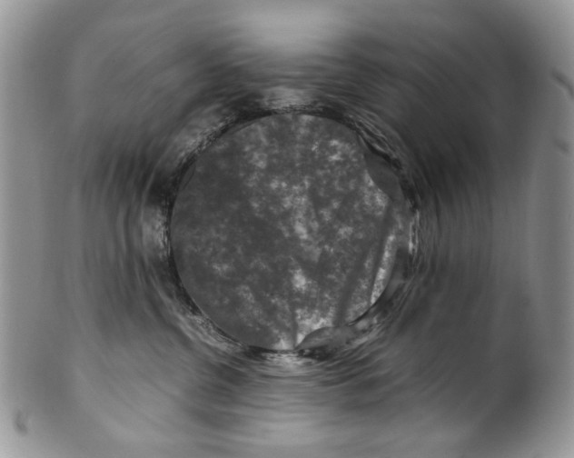 X0000099570380200806131301