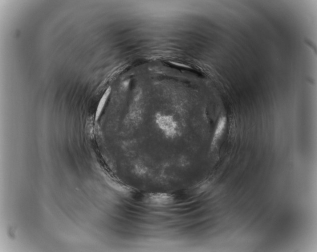 X0000099570383200806131302
